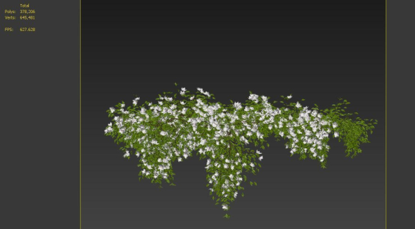 Hanging Plant 15