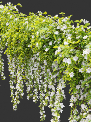 hanging-plant-19-3d-model-max-fbx-mat