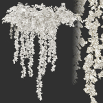 Hanging Plant 19