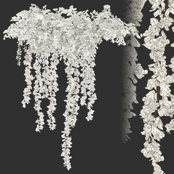 Hanging Plant 19