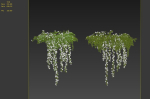 Hanging Plant 19