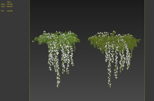 Hanging Plant 19