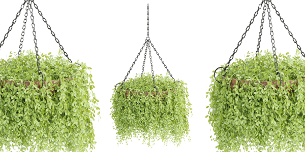 Hanging plants collection vol 142-Blender