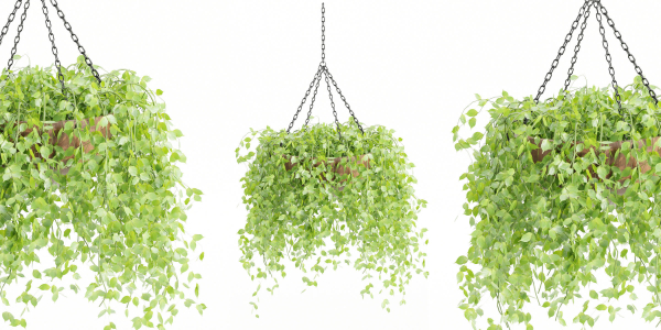 Hanging plants collection vol 142-Blender
