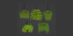 Hanging plants collection vol 142-Blender