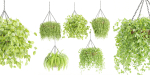 Hanging plants collection vol 142-Blender