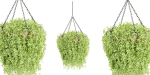 Hanging plants collection vol 142-Blender