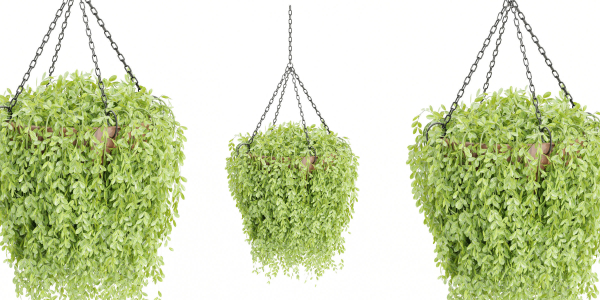 Hanging plants collection vol 142-Blender