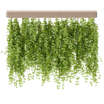 Hanging plants for indoor vol 124