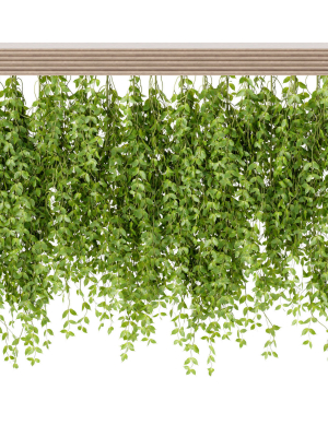 hanging-plants-for-indoor-vol-124-3d-model-69e6230888
