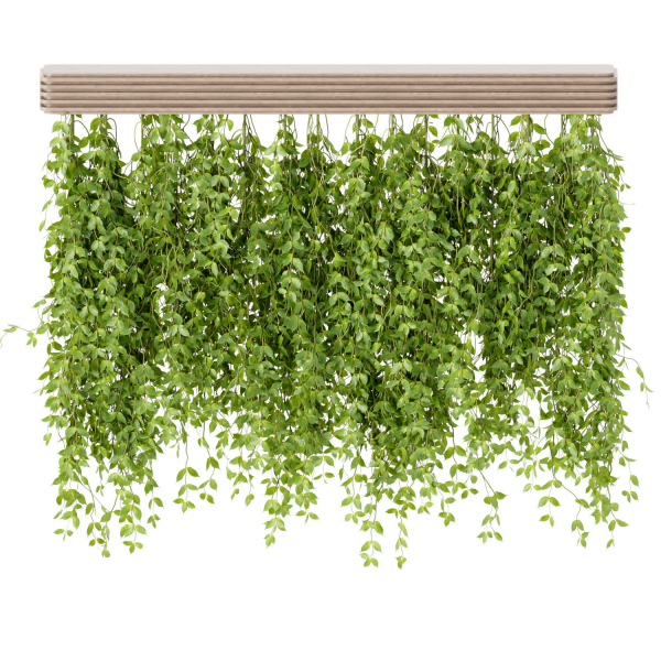 Hanging plants for indoor vol 124