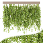 Hanging plants for indoor vol 124