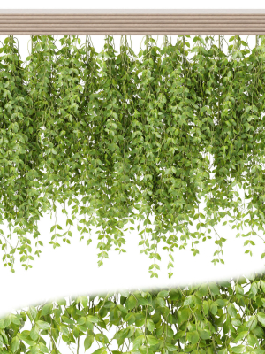 Hanging plants for indoor vol 124