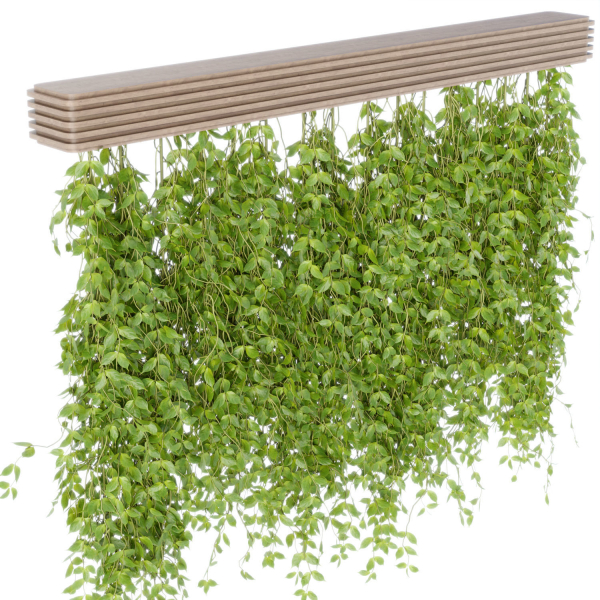Hanging plants for indoor vol 124