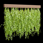 Hanging plants for indoor vol 124-Blender