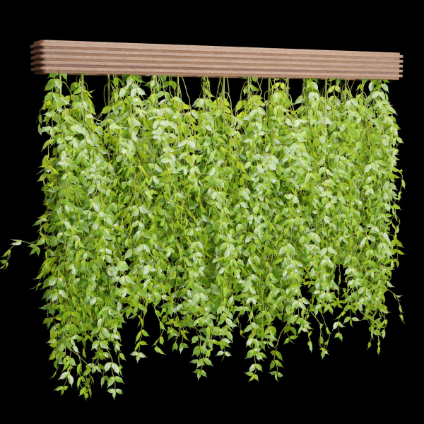 Hanging plants for indoor vol 124-Blender