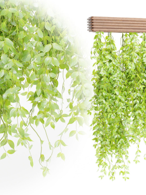 hanging-plants-for-indoor-vol-124-blender-3d-model-b160607f51