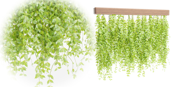 Hanging plants for indoor vol 124-Blender