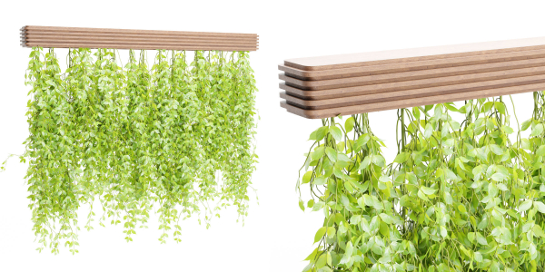 Hanging plants for indoor vol 124-Blender