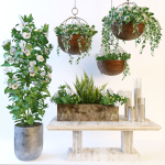Hanging pot flowers