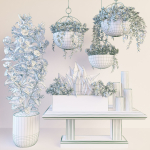 Hanging pot flowers