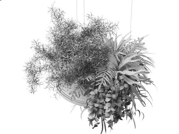 Hanging Pots with Plants 2