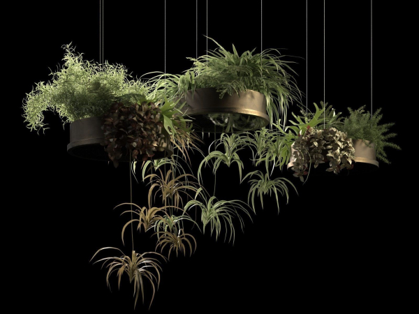 Hanging Pots with Plants 2