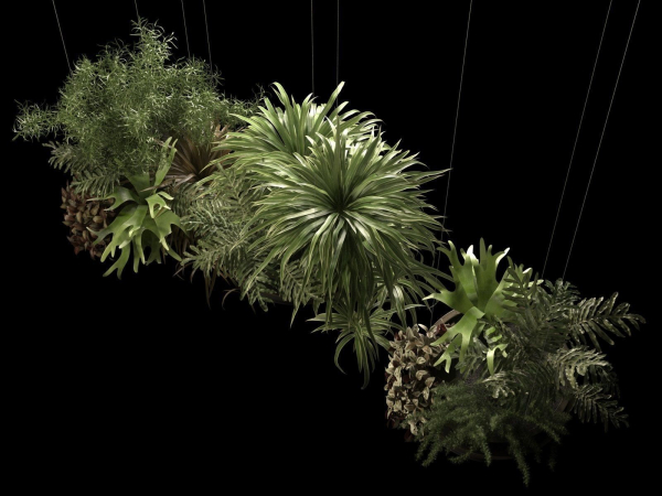 Hanging Pots with Plants 2