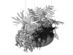 Hanging Pots with Plants 2