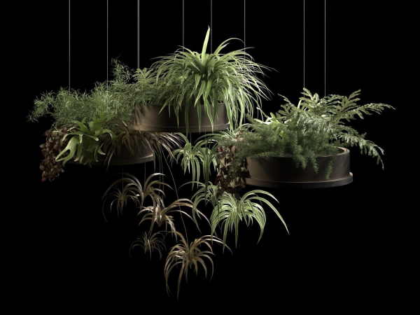 Hanging Pots with Plants 2