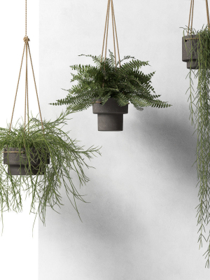hanging-pots-with-plants-3d-model-max-obj-fbx-c4d