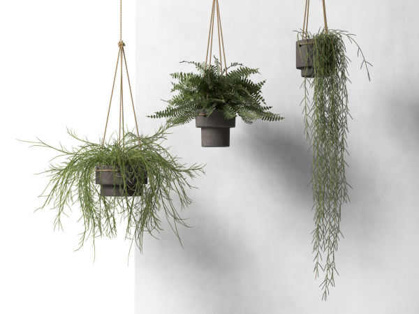 Hanging Pots with Plants