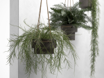 Hanging Pots with Plants