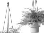 Hanging Pots with Plants