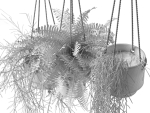 Hanging Pots with Plants