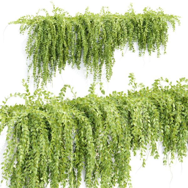 Hanging wall creeper plants collection vol 159
