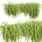 Hanging wall creeper plants collection vol 159