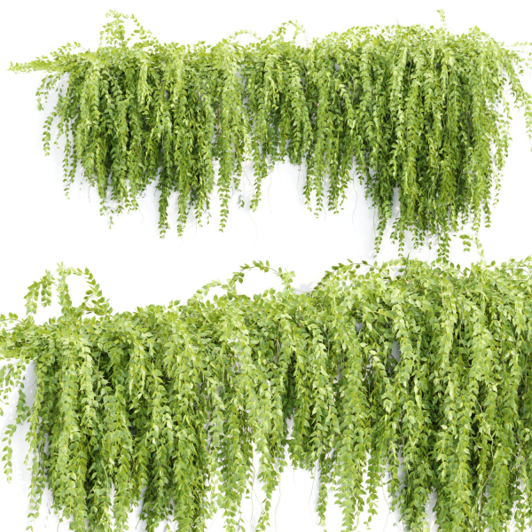 Hanging wall creeper plants collection vol 159
