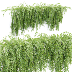 Hanging wall creeper plants collection vol 159
