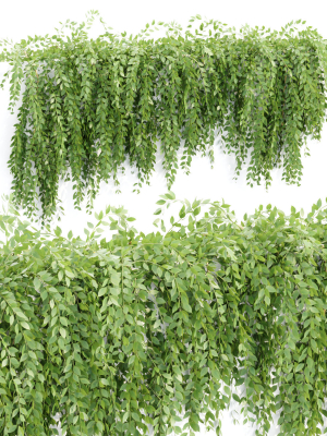 hanging-wall-creeper-plants-collection-vol-159-3d-model-72c3636d8b