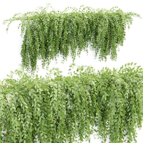 Hanging wall creeper plants collection vol 159