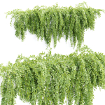 Hanging wall creeper plants collection vol 159