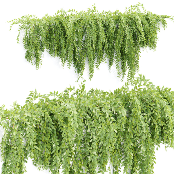 Hanging wall creeper plants collection vol 159