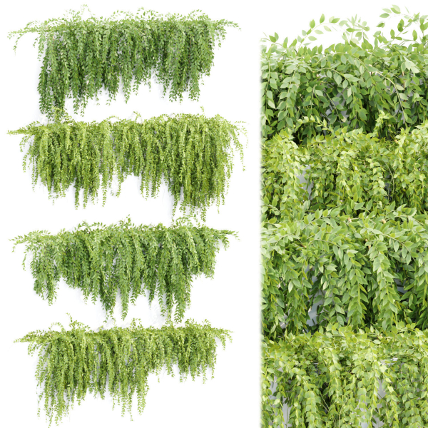 Hanging wall creeper plants collection vol 159