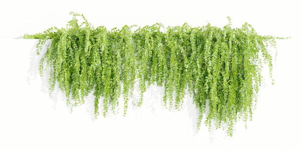 Hanging wall creeper plants collection vol 159-Blender