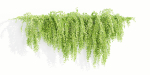 Hanging wall creeper plants collection vol 159-Blender