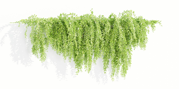 Hanging wall creeper plants collection vol 159-Blender