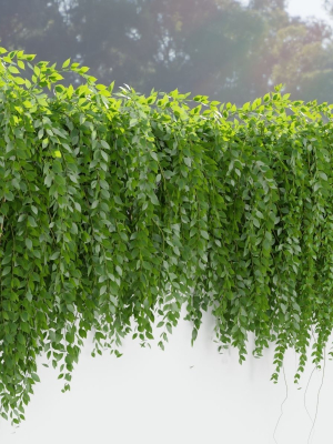 Hanging wall creeper plants collection vol 159-Blender