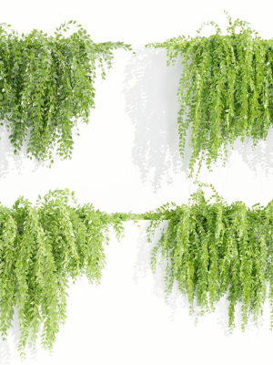 hanging-wall-creeper-plants-collection-vol-159-blender-3d-model-b08700955a