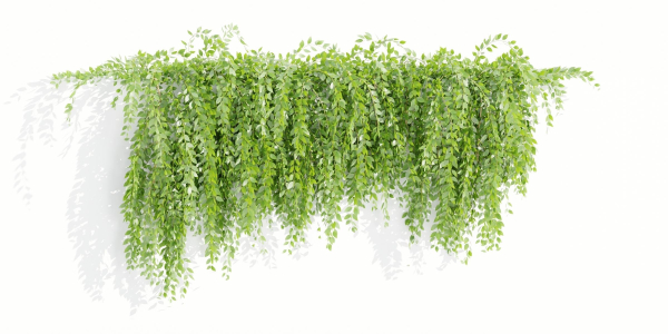 Hanging wall creeper plants collection vol 159-Blender